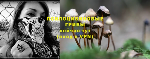 соль курить ск Гусиноозёрск
