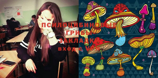 соль курить ск Гусиноозёрск
