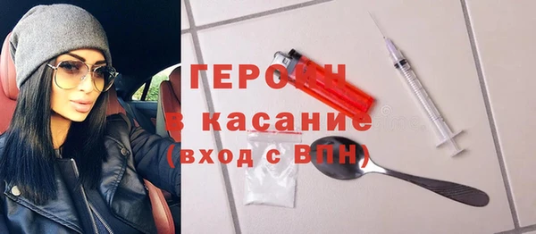 индика Гусев