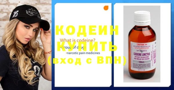 индика Гусев