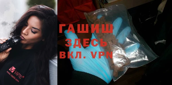 индика Гусев