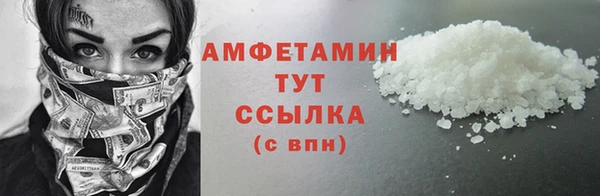 индика Гусев