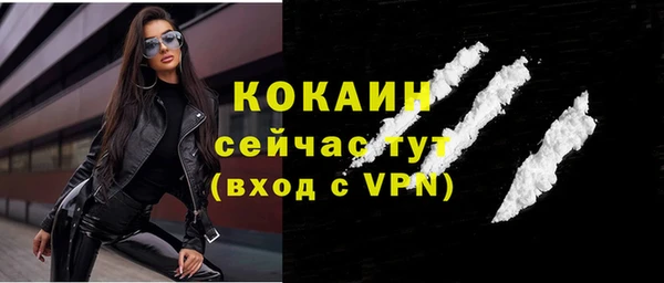 индика Гусев