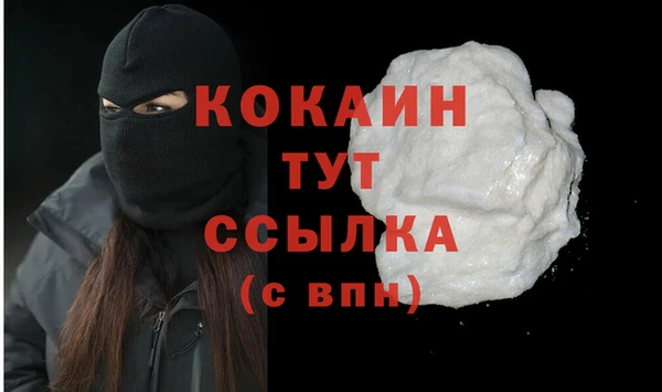 индика Гусев