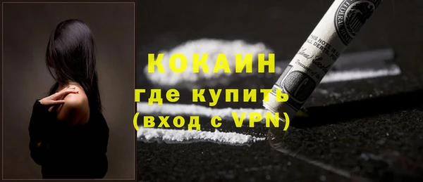 индика Гусев