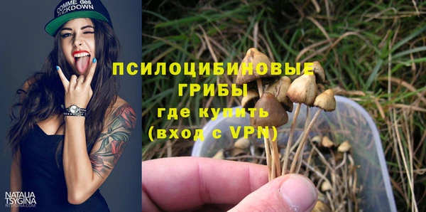 соль курить ск Гусиноозёрск