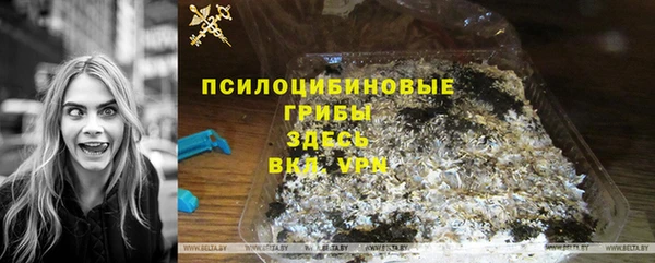 индика Гусев