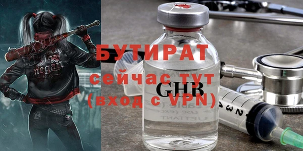 индика Гусев