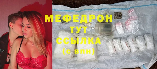 индика Гусев
