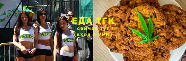 индика Гусев