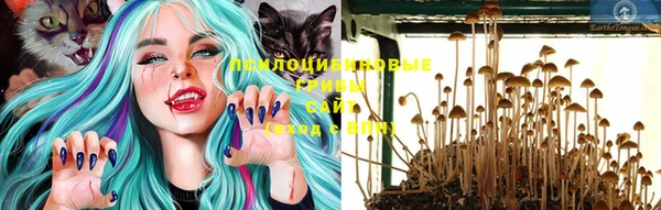 соль курить ск Гусиноозёрск