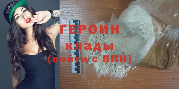 индика Гусев