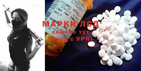 индика Гусев