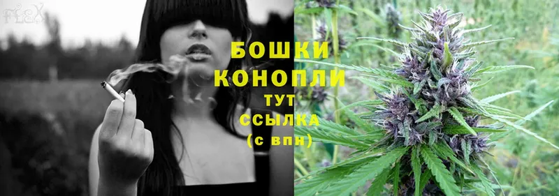 Бошки Шишки SATIVA & INDICA  mega   Жиздра 